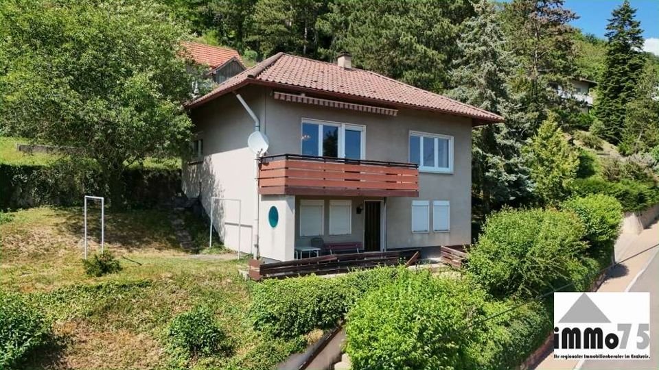 Einfamilienhaus in Niefern-Öschelbronn: Aussenansicht Vorderhaus